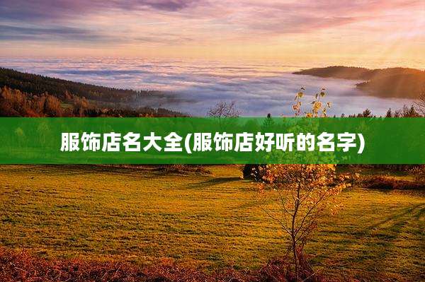 服饰店名大全(服饰店好听的名字)