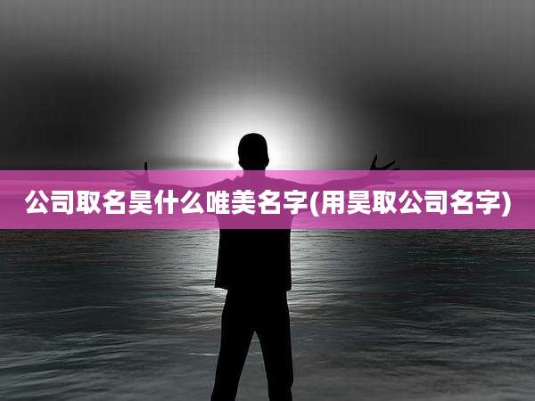 公司取名昊什么唯美名字(用昊取公司名字)