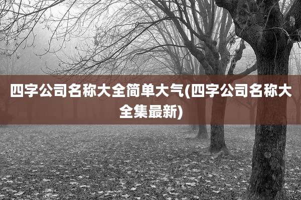四字公司名称大全简单大气(四字公司名称大全集最新)