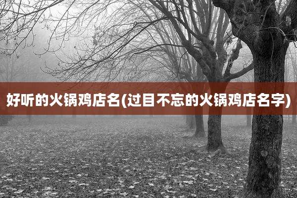 好听的火锅鸡店名(过目不忘的火锅鸡店名字)