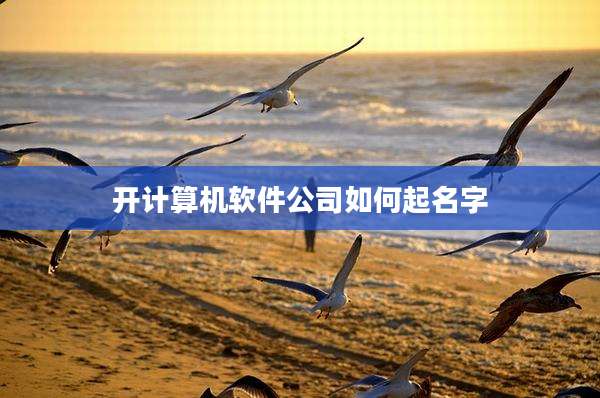 开计算机软件公司如何起名字