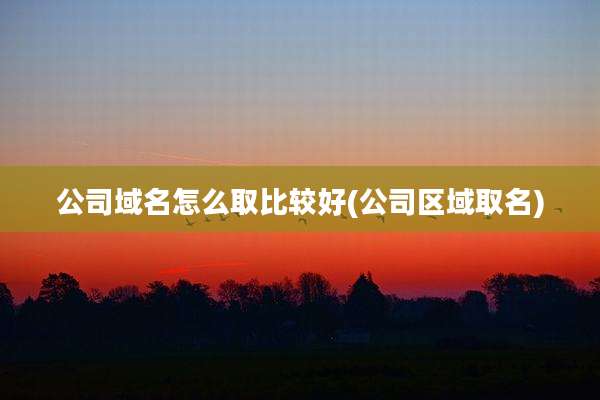 公司域名怎么取比较好(公司区域取名)