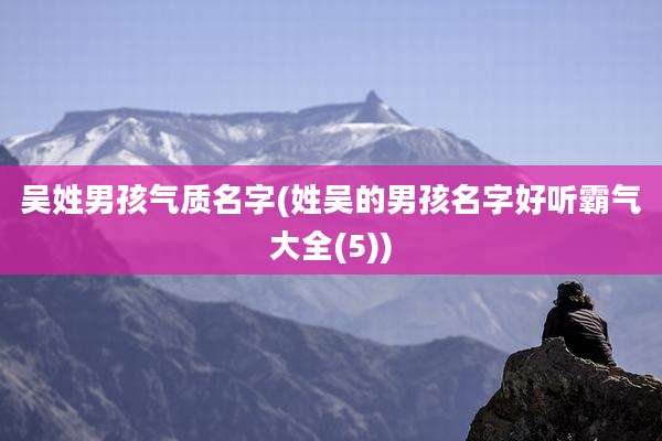 吴姓男孩气质名字(姓吴的男孩名字好听霸气大全(5))
