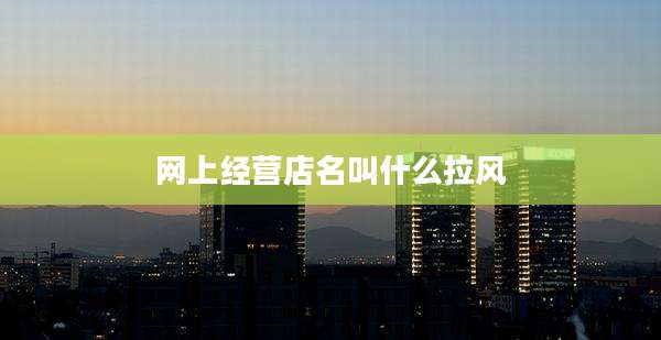 网上经营店名叫什么拉风