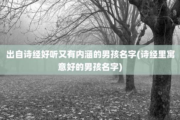 出自诗经好听又有内涵的男孩名字(诗经里寓意好的男孩名字)