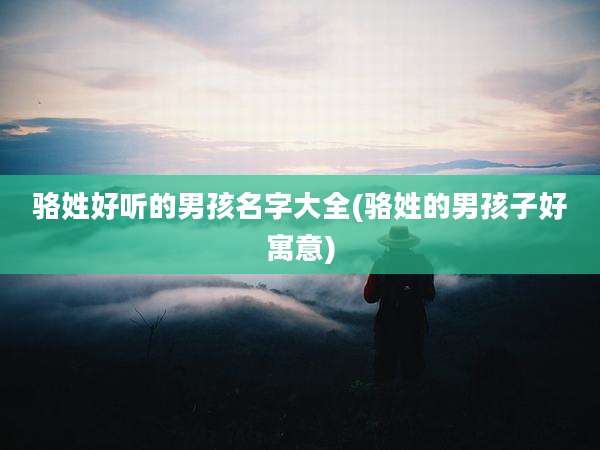 骆姓好听的男孩名字大全(骆姓的男孩子好寓意)