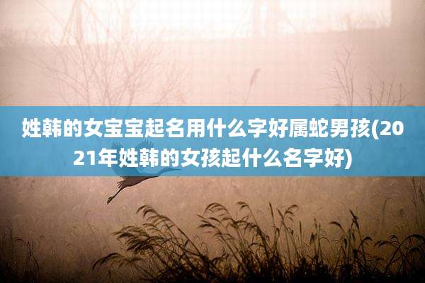 姓韩的女宝宝起名用什么字好属蛇男孩(2021年姓韩的女孩起什么名字好)