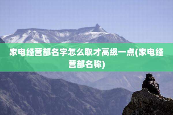 家电经营部名字怎么取才高级一点(家电经营部名称)