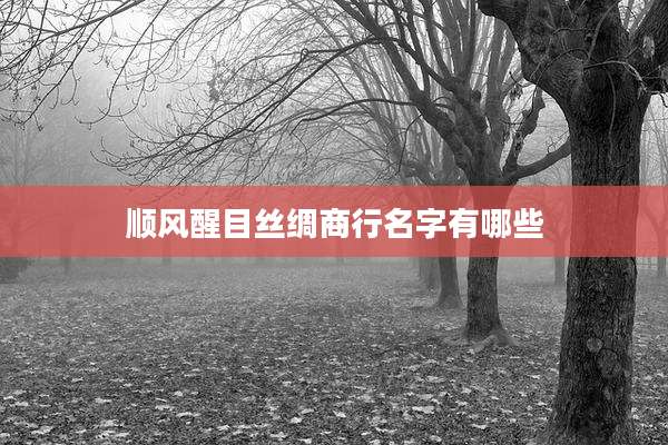 顺风醒目丝绸商行名字有哪些