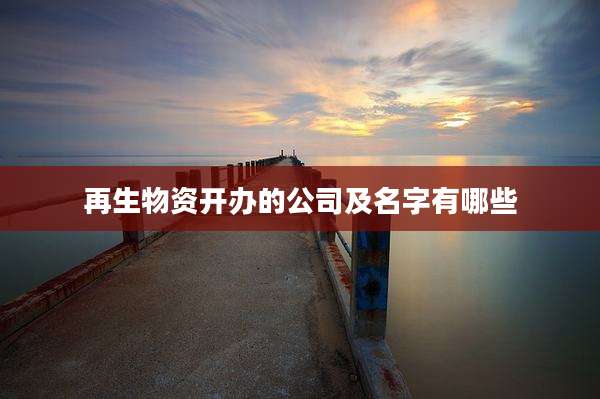再生物资开办的公司及名字有哪些