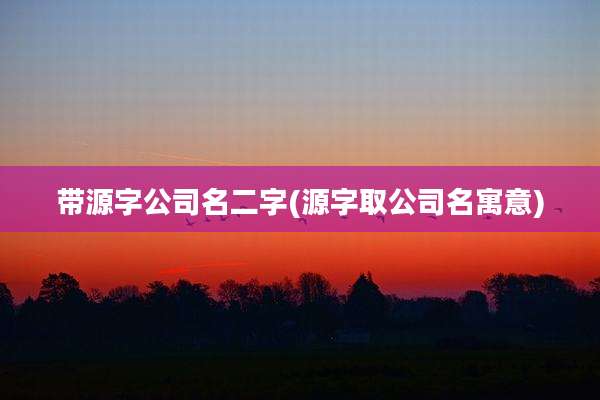 带源字公司名二字(源字取公司名寓意)
