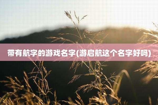 带有航字的游戏名字(游启航这个名字好吗)