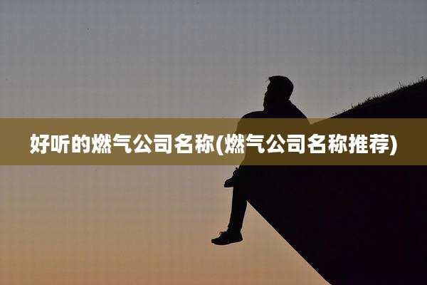 好听的燃气公司名称(燃气公司名称推荐)