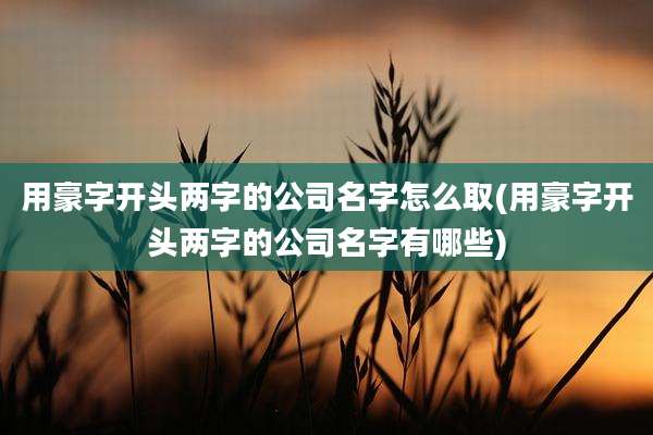 用豪字开头两字的公司名字怎么取(用豪字开头两字的公司名字有哪些)