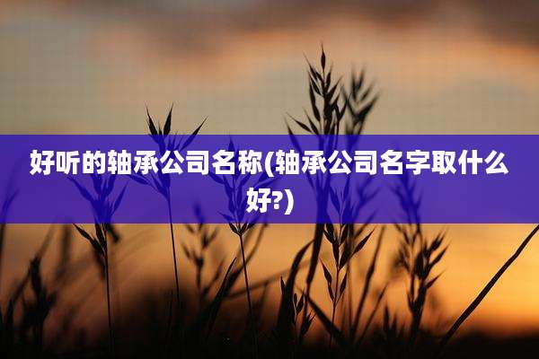 好听的轴承公司名称(轴承公司名字取什么好?)