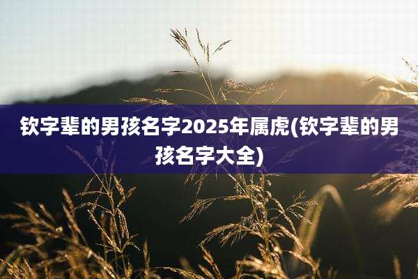 钦字辈的男孩名字2025年属虎(钦字辈的男孩名字大全)