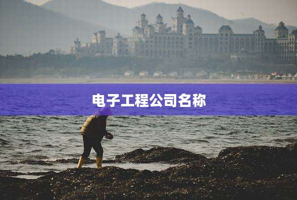电子工程公司名称