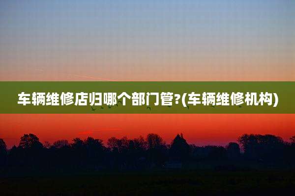 车辆维修店归哪个部门管?(车辆维修机构)