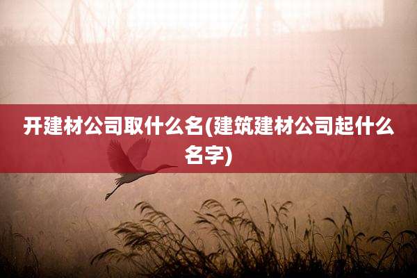 开建材公司取什么名(建筑建材公司起什么名字)