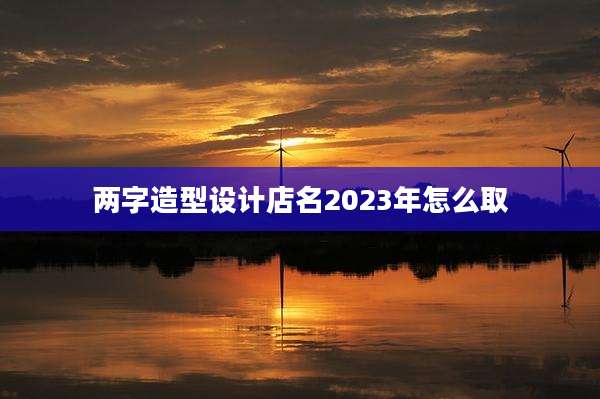 两字造型设计店名2023年怎么取