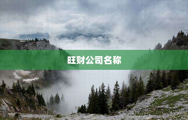 旺财公司名称