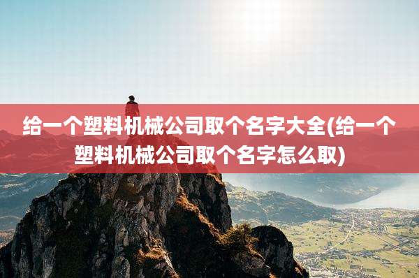 给一个塑料机械公司取个名字大全(给一个塑料机械公司取个名字怎么取)
