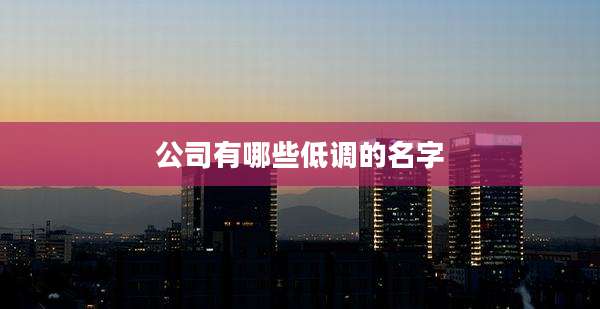 公司有哪些低调的名字