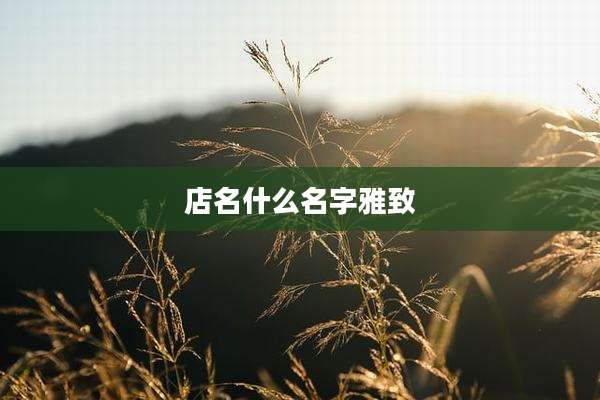 店名什么名字雅致