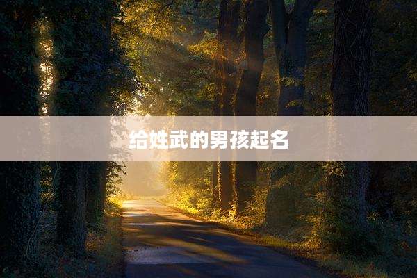 给姓武的男孩起名