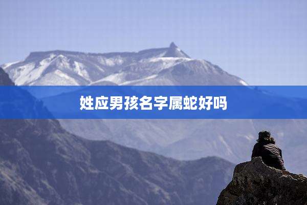 姓应男孩名字属蛇好吗