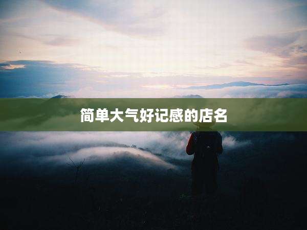 简单大气好记感的店名