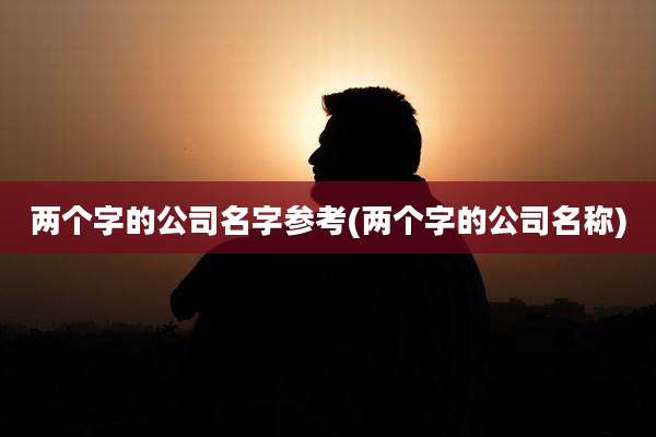 两个字的公司名字参考(两个字的公司名称)
