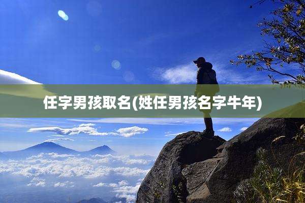 任字男孩取名(姓任男孩名字牛年)