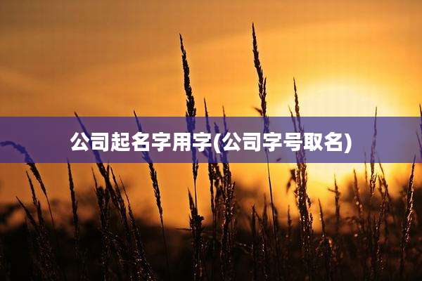 公司起名字用字(公司字号取名)