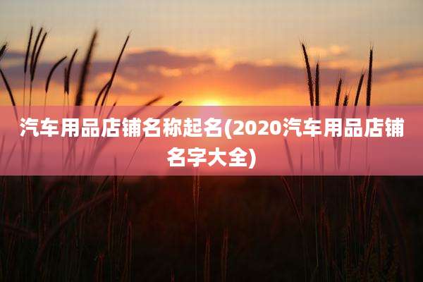 汽车用品店铺名称起名(2020汽车用品店铺名字大全)