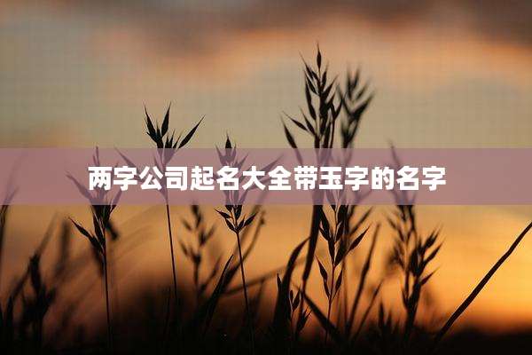 两字公司起名大全带玉字的名字