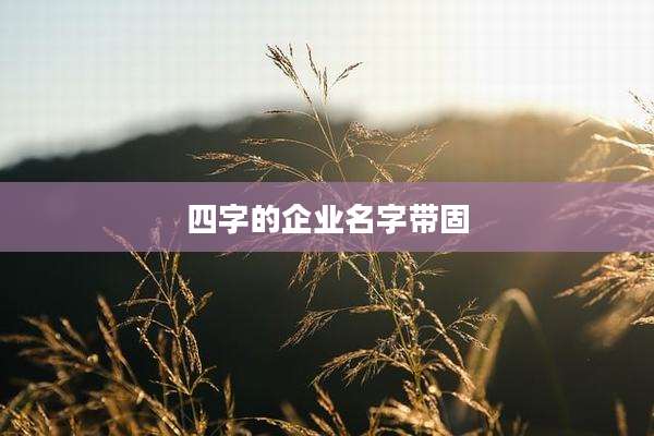 四字的企业名字带固