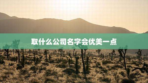 取什么公司名字会优美一点