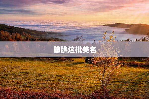 瞧瞧这批美名