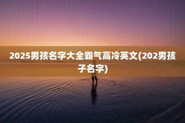 2025男孩名字大全霸气高冷英文(202男孩子名字)