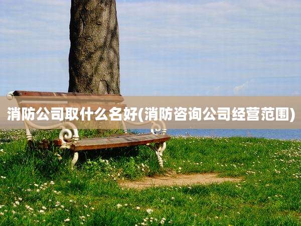消防公司取什么名好(消防咨询公司经营范围)