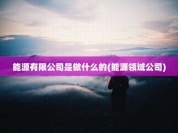 能源有限公司是做什么的(能源领域公司)