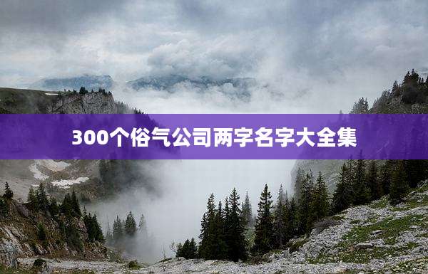 300个俗气公司两字名字大全集