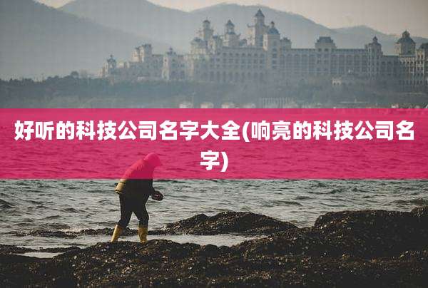 好听的科技公司名字大全(响亮的科技公司名字)