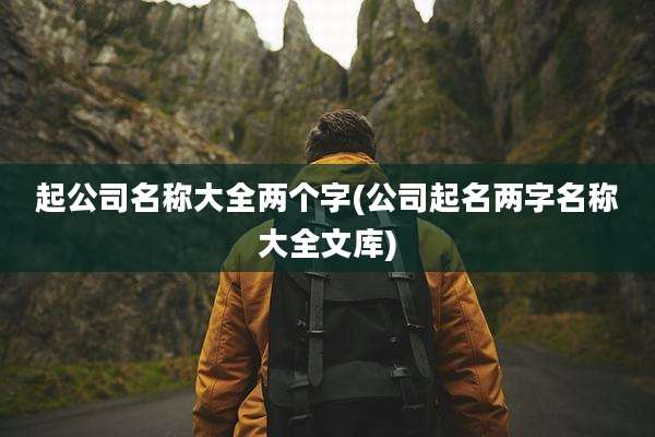 起公司名称大全两个字(公司起名两字名称大全文库)
