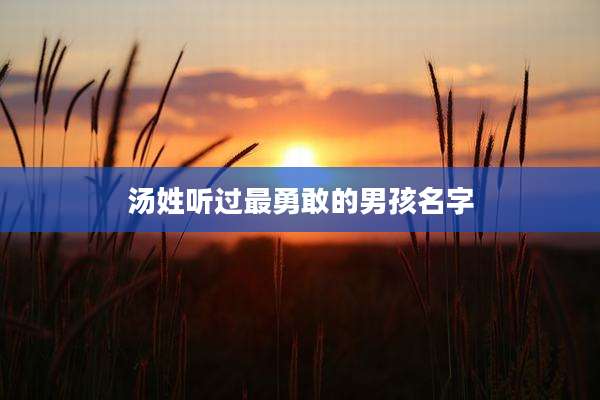 汤姓听过最勇敢的男孩名字