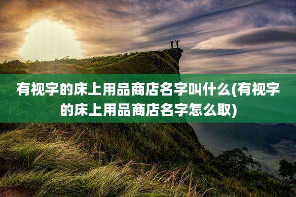 有视字的床上用品商店名字叫什么(有视字的床上用品商店名字怎么取)