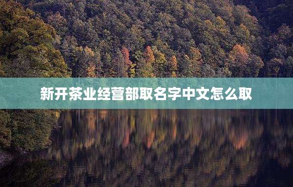 新开茶业经营部取名字中文怎么取