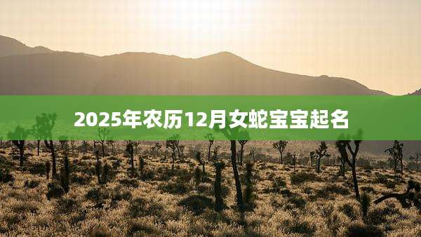 2025年农历12月女蛇宝宝起名