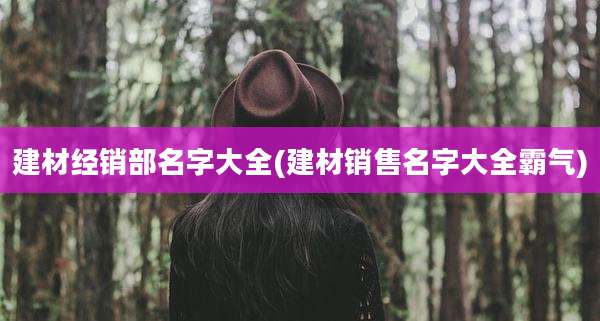 建材经销部名字大全(建材销售名字大全霸气)